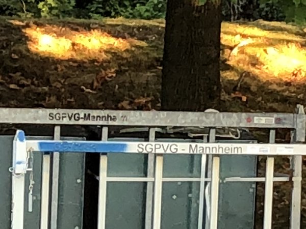 SPVGG_Mannheim_2.jpg