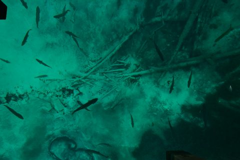 20180924_GreatSpring_5.jpg
