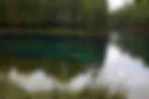 20180924_GreatSpring_1.jpg
